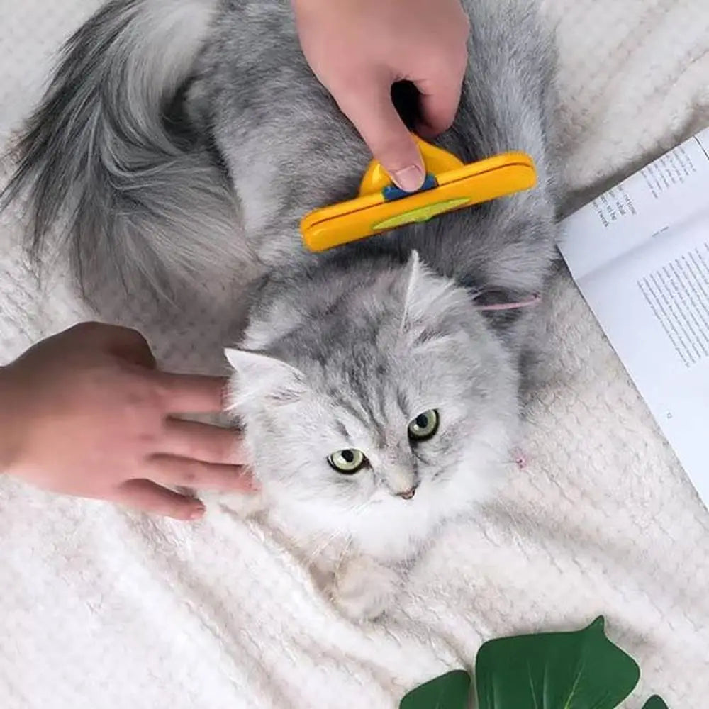 Brosse pour chat Ă poils courts PurFect, poignĂ©e jaune et tĂȘte jaune/bleue