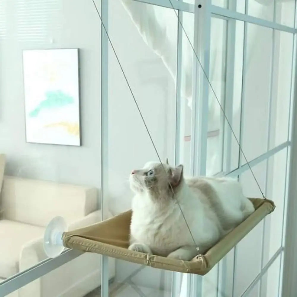 Hamac pour chat beige, hamac suspendu sur corde, chat blanc moelleux