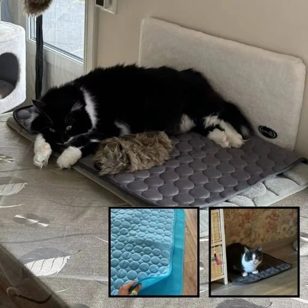 Tapis rafraîchissant pour chat gris à relief, avec chat noir et blanc couché.