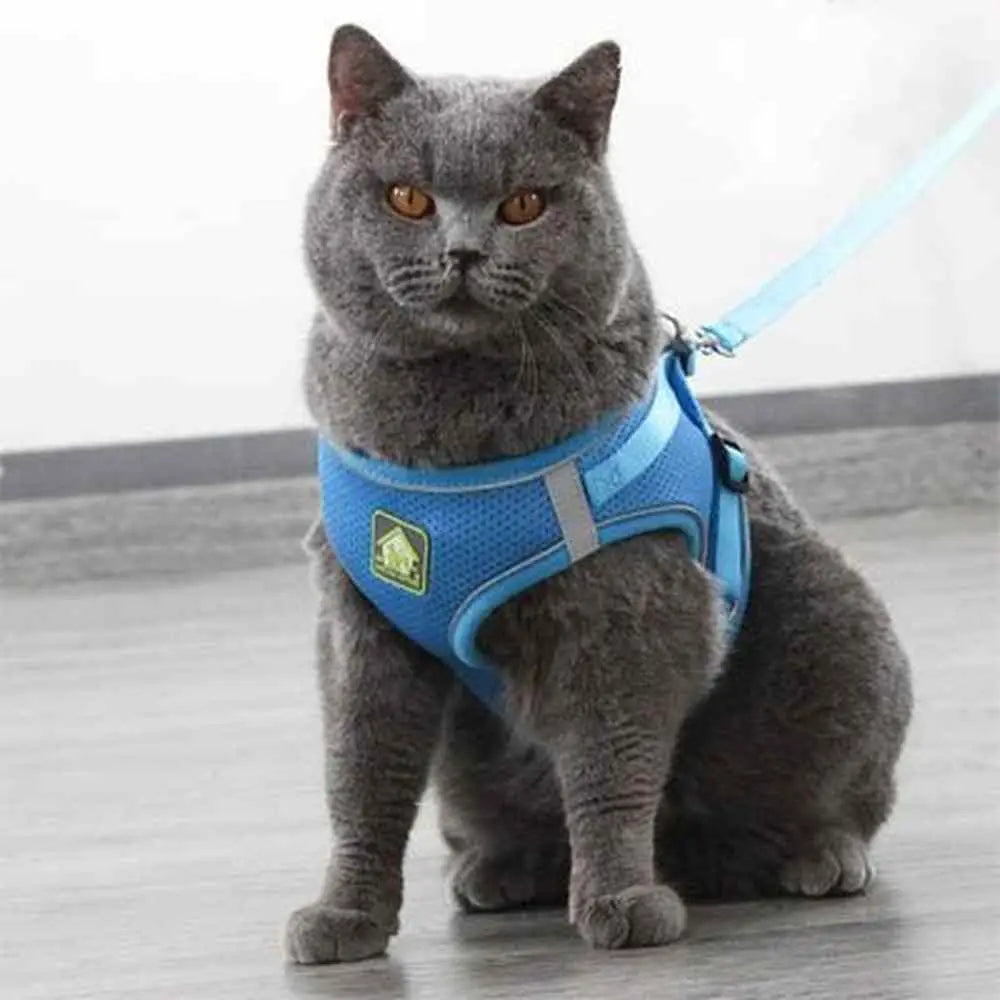 Harnais pour chat bleu, sangle réglable et anneau d’attache, tissu respirant
