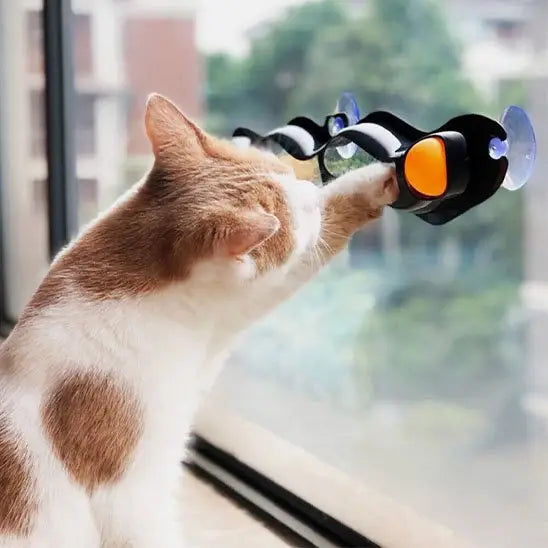 Jouet interactif pour chat à ventouses, barre noire ondulée orange et bleue tenue par un chat roux