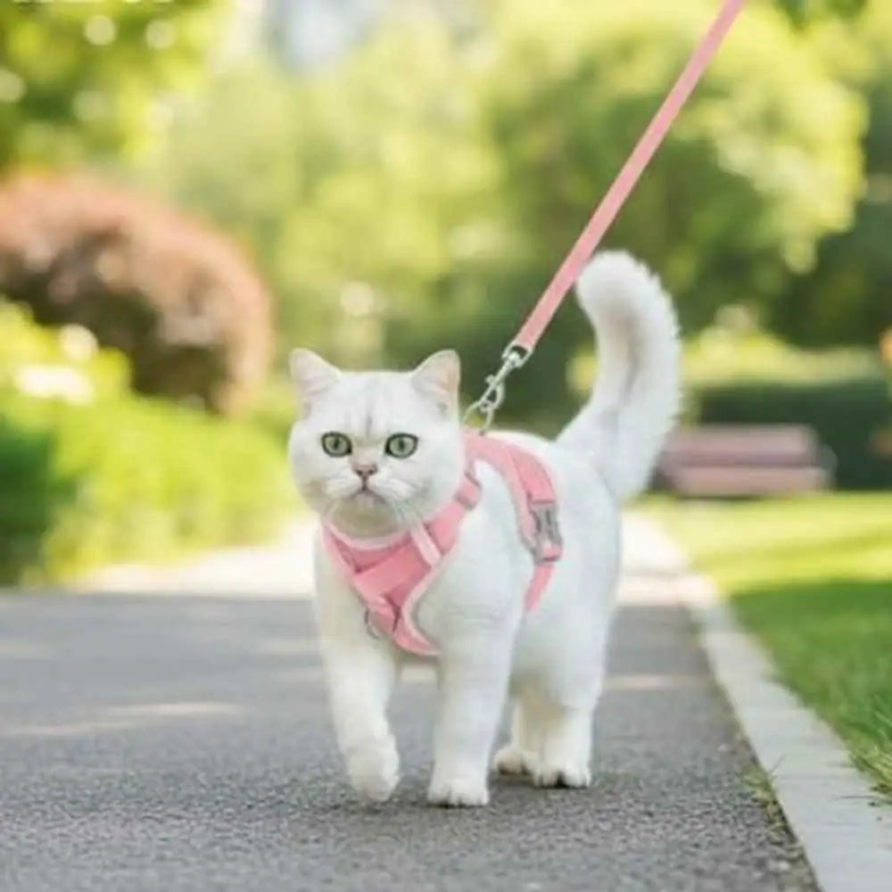 Harnais-gilet anti-évasion pour chat, rose, sangles réglables et attache