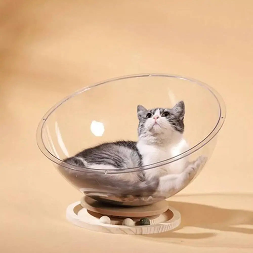Lit pour chat à dôme transparent, chat tigré gris couché, base ronde.
