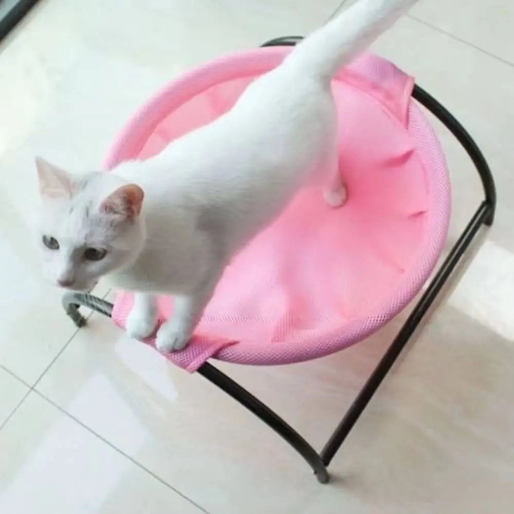 Hamac pour chat rose à bord arrondi, cadre noir, chat blanc en position allongée