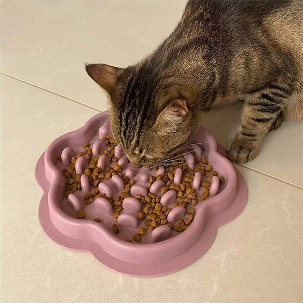 Gamelle anti-glouton pour chat FeliFlex rose à picots, remplie de croquettes, chat tigré.