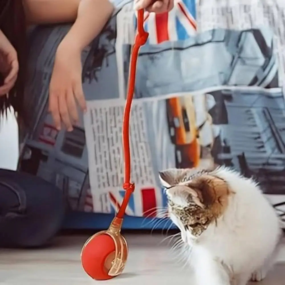 Balle interactive rouge suspendue Ă une cordelette avec insert transparent