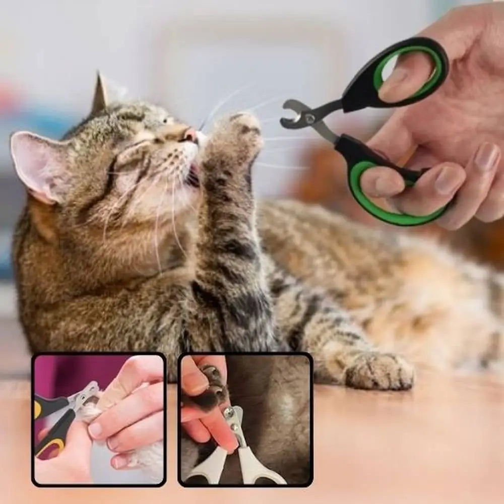 Coupe-griffes pour chat vert, en main sur un chat pendant la coupe des griffes