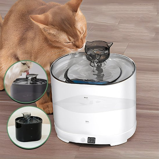 Fontaine Ă  eau chat | Cascade FraĂźche - Universduchat