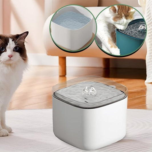 Fontaine Ă  eau chat | PurFlow - Universduchat