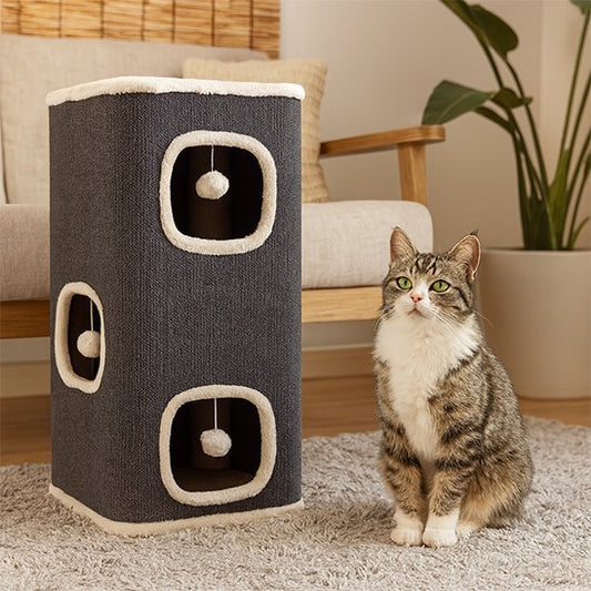 Arbre Ă  Chat | Design Cylindrique Gris - Universduchat