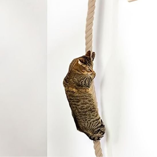arbre Ă  chat en bois | Jungle Moderne mural - Universduchat