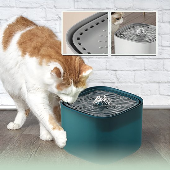 Fontaine à eau chat | PurFlow