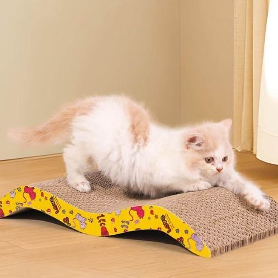 Griffoir Chat - design moderne - Universduchat