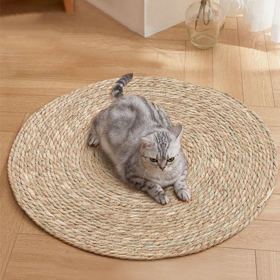 Tapis griffoir chat | Ergonomique - Universduchat