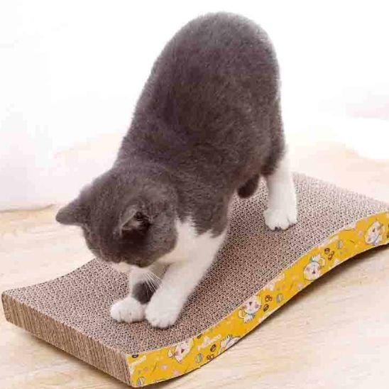 Griffoir Chat - design moderne - Universduchat
