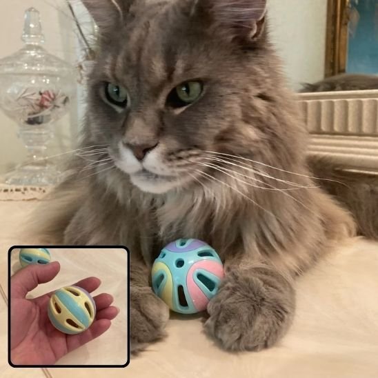 Jouet pour chat | Interactif - Universduchat