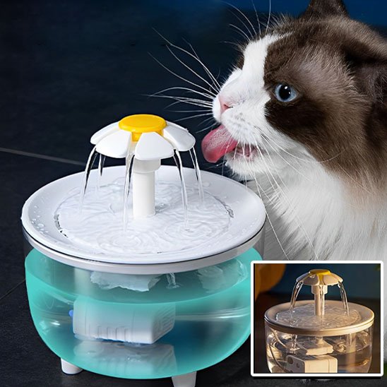 Fontaine Ă eau chat | Florale