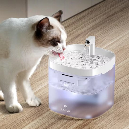 Fontaine Ă eau chat | Florale