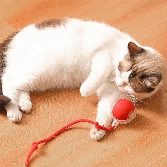 Jouet pour chat Interactif | stimulation - Universduchat