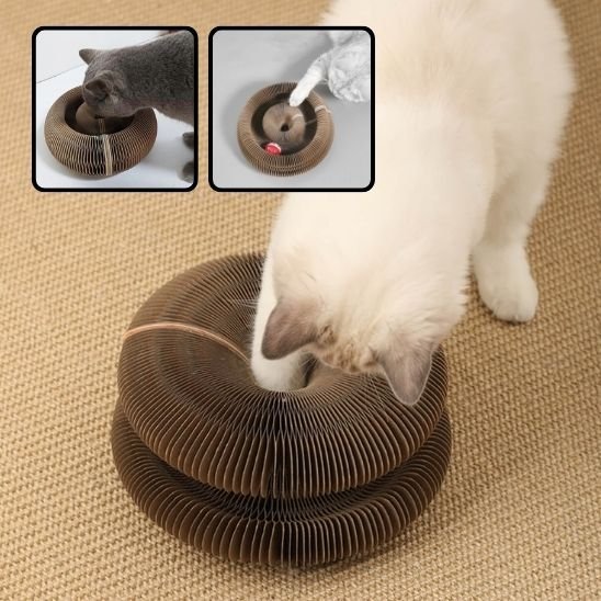 Jouet pour chat | FélinConfort - Universduchat