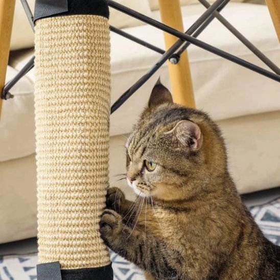 Griffoir pour chat design | Félin Confort - Universduchat