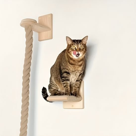 arbre Ă  chat en bois | Jungle Moderne mural - Universduchat