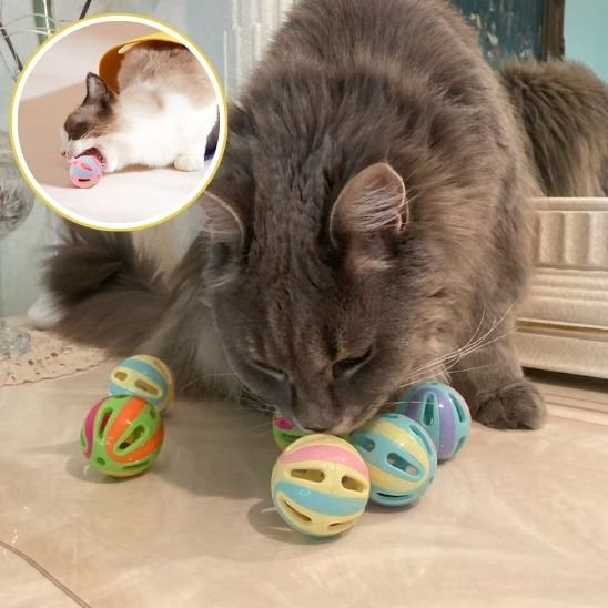 Jouet pour chat | Interactif - Universduchat