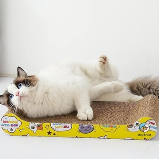Griffoir Chat - design moderne - Universduchat