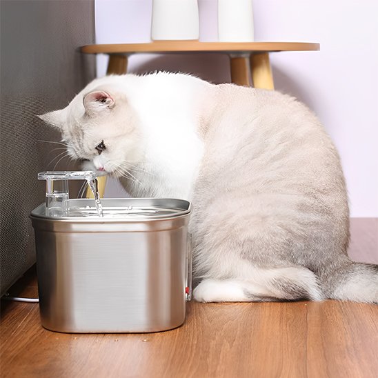 Fontaine a eau chat | Prevention Urinaire