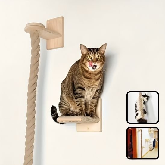 arbre Ă  chat en bois | Jungle Moderne mural - Universduchat