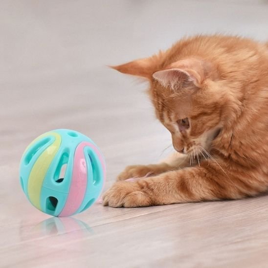 Jouet pour chat | Interactif - Universduchat