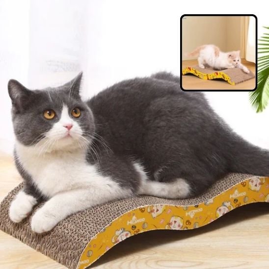 Griffoir Chat - design moderne - Universduchat