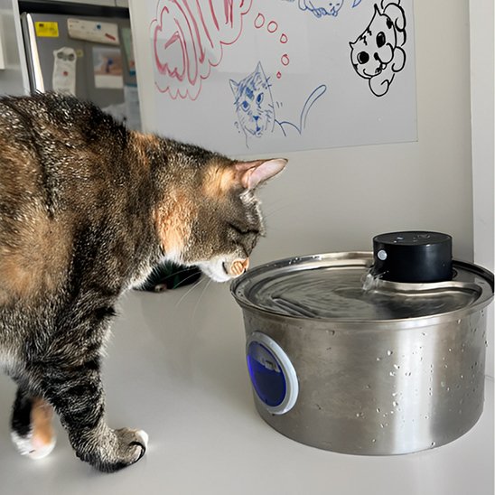 Fontaine a eau chat | Fraîcheur Féline