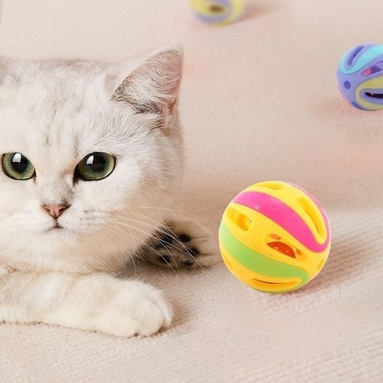 Jouet pour chat | Interactif - Universduchat