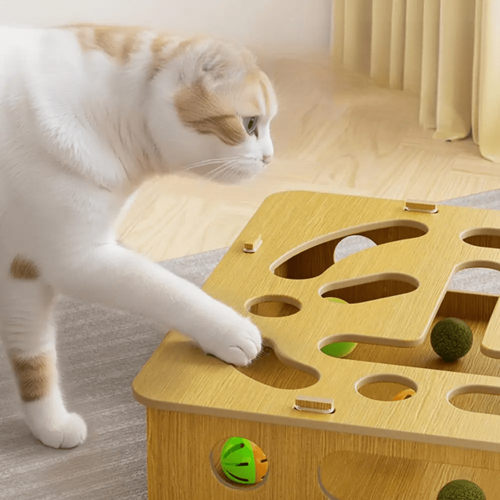 Jouet pour chat - CatPuzzleToy™ - Universduchat