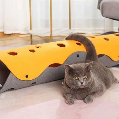 Tunnel pour Chat | Paradis de Jeu - Universduchat