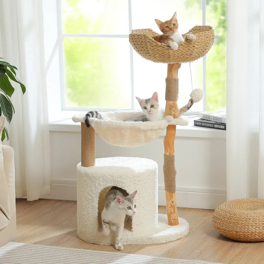Arbre à chat moderne en bois massif avec panier en osier - guide comparatif 2026
