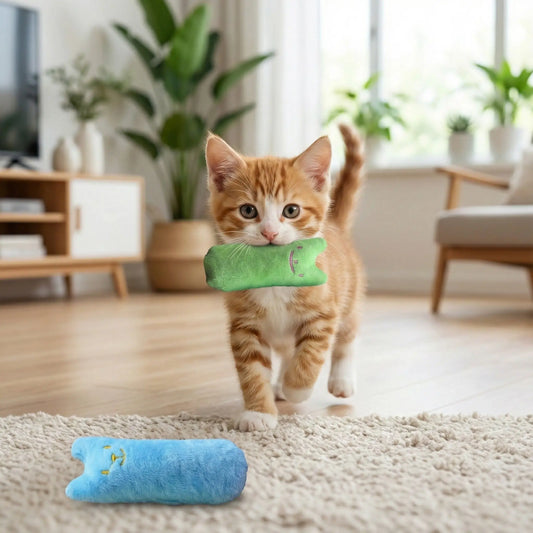 Jouet pour chaton en éveil - bases de l'éducation féline