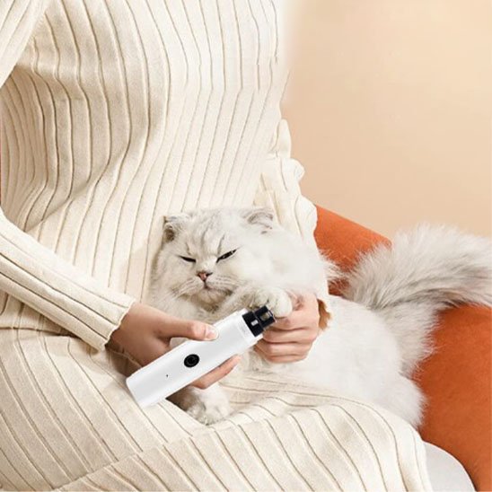 Coupe griffes : Pourquoi couper les griffes du chat ?