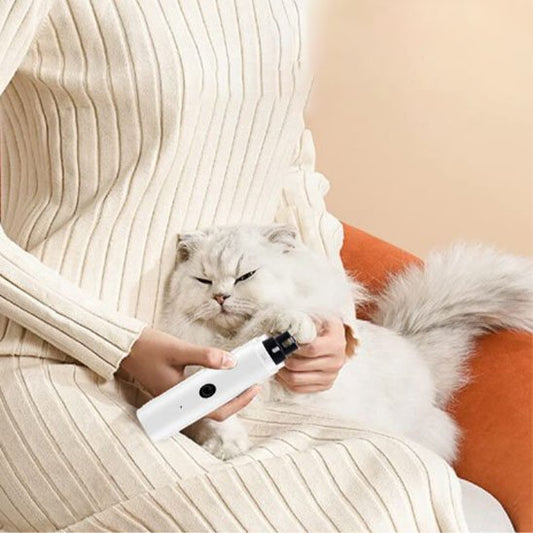 Coupe griffes : Pourquoi couper les griffes du chat ?