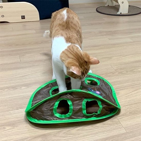 Jeu chat éducatif - combien de jouets pour occuper son chat