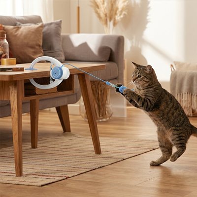Jeu pour chat stimulation mentale - exercice physique du félin