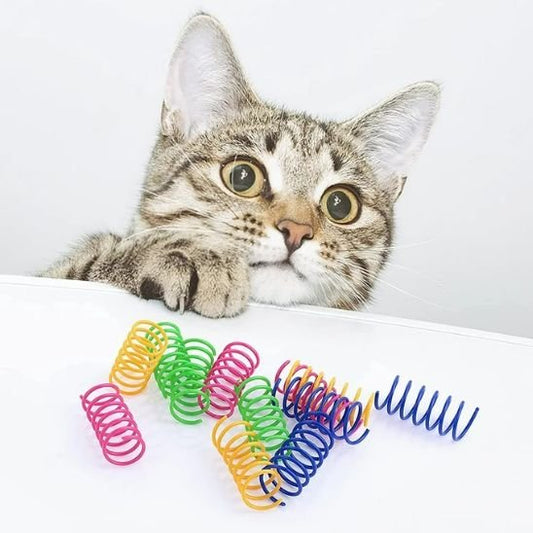 Jouet pour chat éveil curiosité - pourquoi les chats cachent leurs jouets