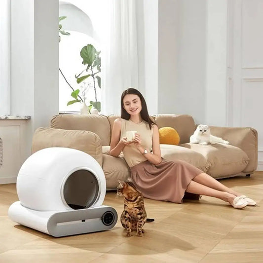 Bac à litière autonettoyant dans un salon moderne, avec un chat curieux et sa propriétaire assise sur un canapé