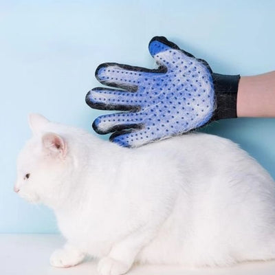 Toilettage chat : accessoires de soin, brossage et hygiène pour chat