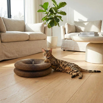 Jouet interactif pour chat  stimule l'instinct et évite l'ennui