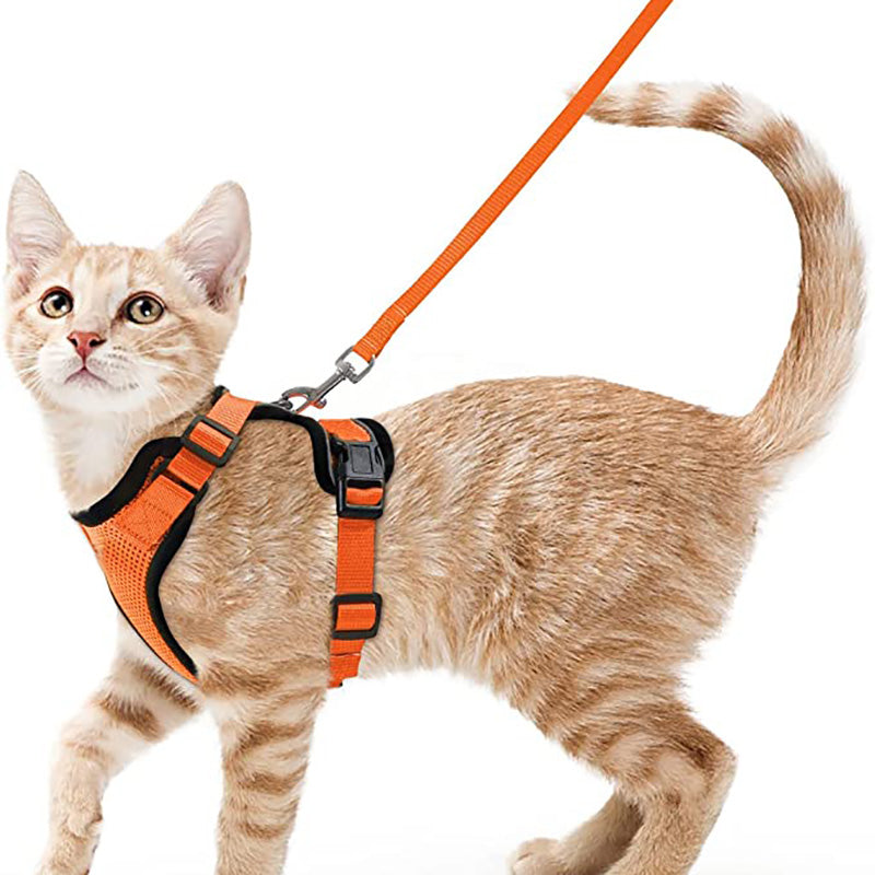 Harnais pour chat gilet orange, sangle réglable et attache sur la poitrine