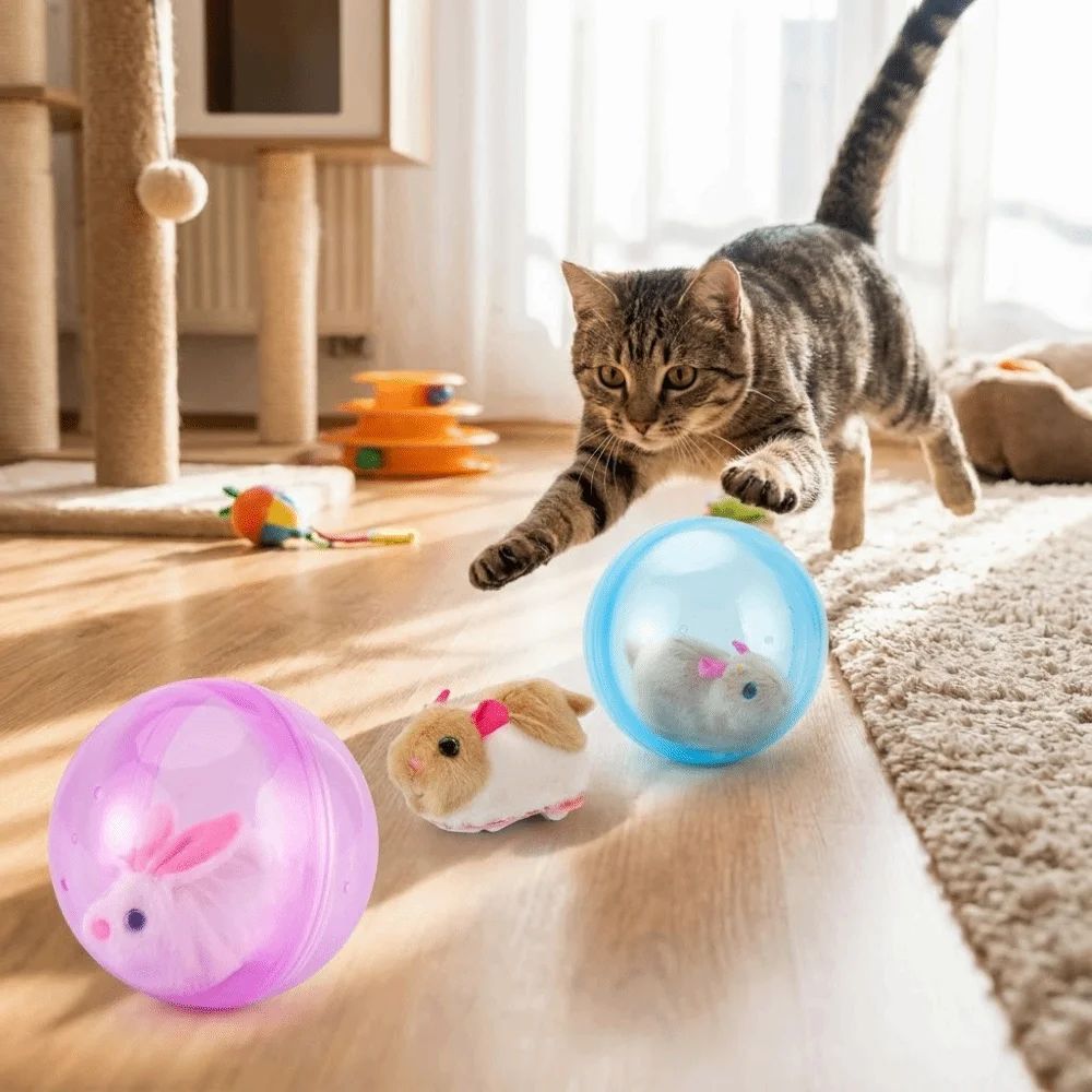 Chat jouant avec balles transparentes bleue et violette, accessoires en peluche