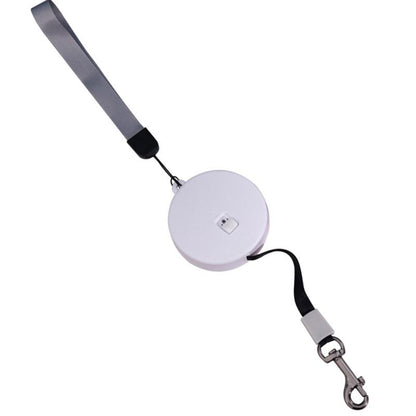 Enrouleur automatique pour laisse de chat blanc, sangle grise et mousqueton