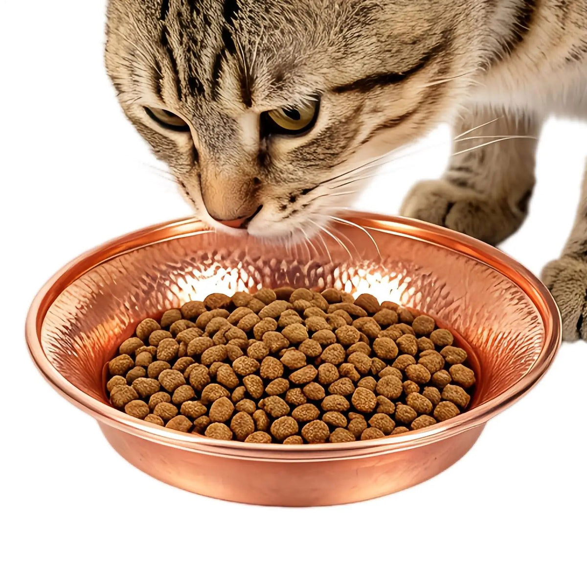 Bol pour chat en cuivre martelé rempli de croquettes